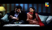 Mr Shamim Episode 1 Full HUM TV Drama 28 December 2014