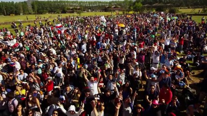 Hardstyle 2014 ►The Lion King • Euphoric Music & Video