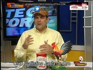 PROGRAMA-TECNODEPORTES-5-12-2014-JAULA-DE-ORO en San Isidro-Rep.Dominicana por Manuel Perelló.