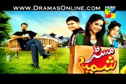 Mr Shamim Episode 1 - 28th December 2014 Hum Tv Full Episode