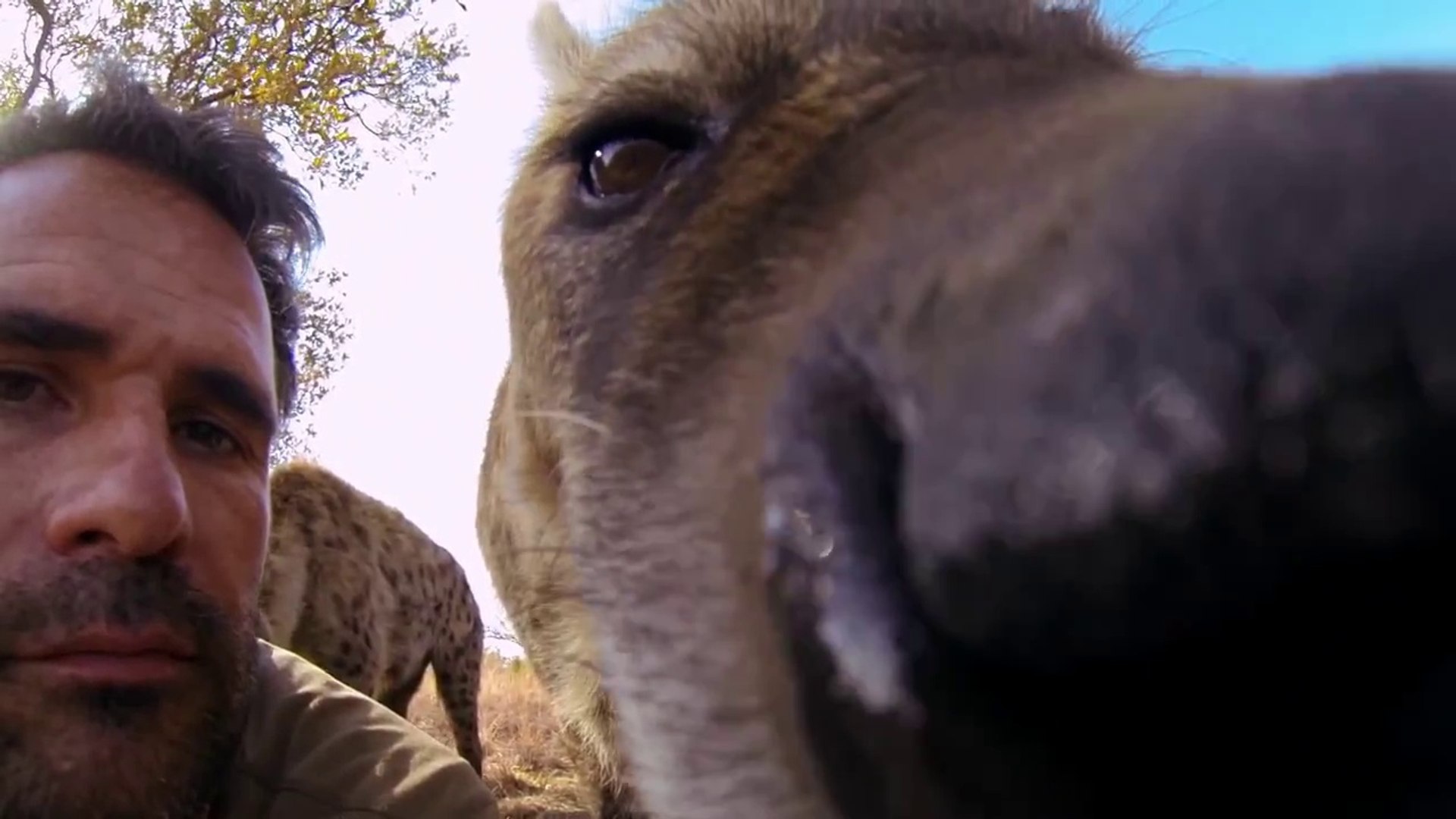 ⁣GoPro - Lions - The New Endangered Species
