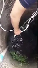Il sauve un chien tombé dans un puits