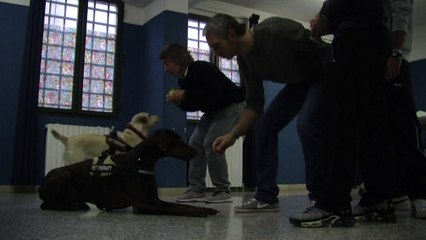 Terapia canina en cárcel italiana