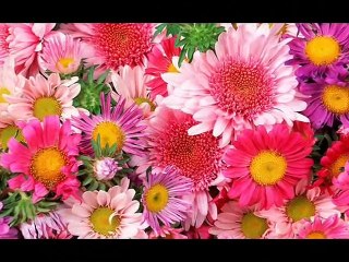 lab pe aati hai dua.