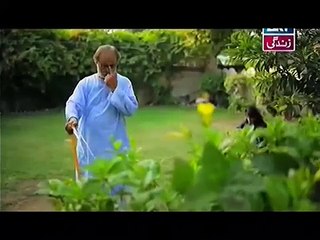 Na Katro Pankh Mere Episode 8 Full ARY Zindagi Drama 28th December 2014