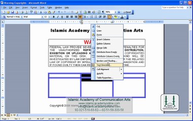 Free MS Word 2003 Training in Urdu- IACA (38)