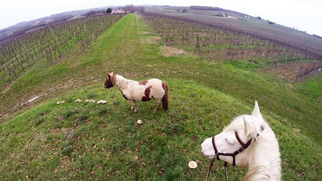 GoPro Balade Isis & Quascade