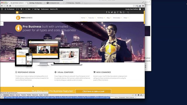 Wordpress Tutorial, Visual Composer, Shortcodes - Fancy Boxes