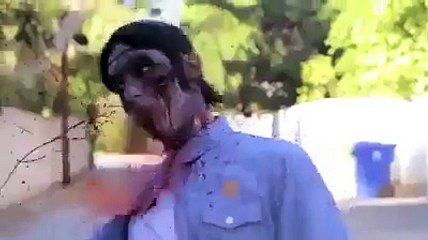 Matrak Zombi Neler Yapıyor :))