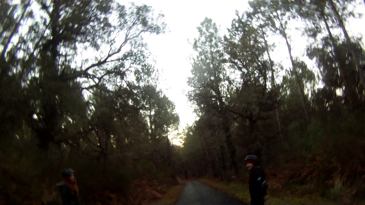 longskate naima december