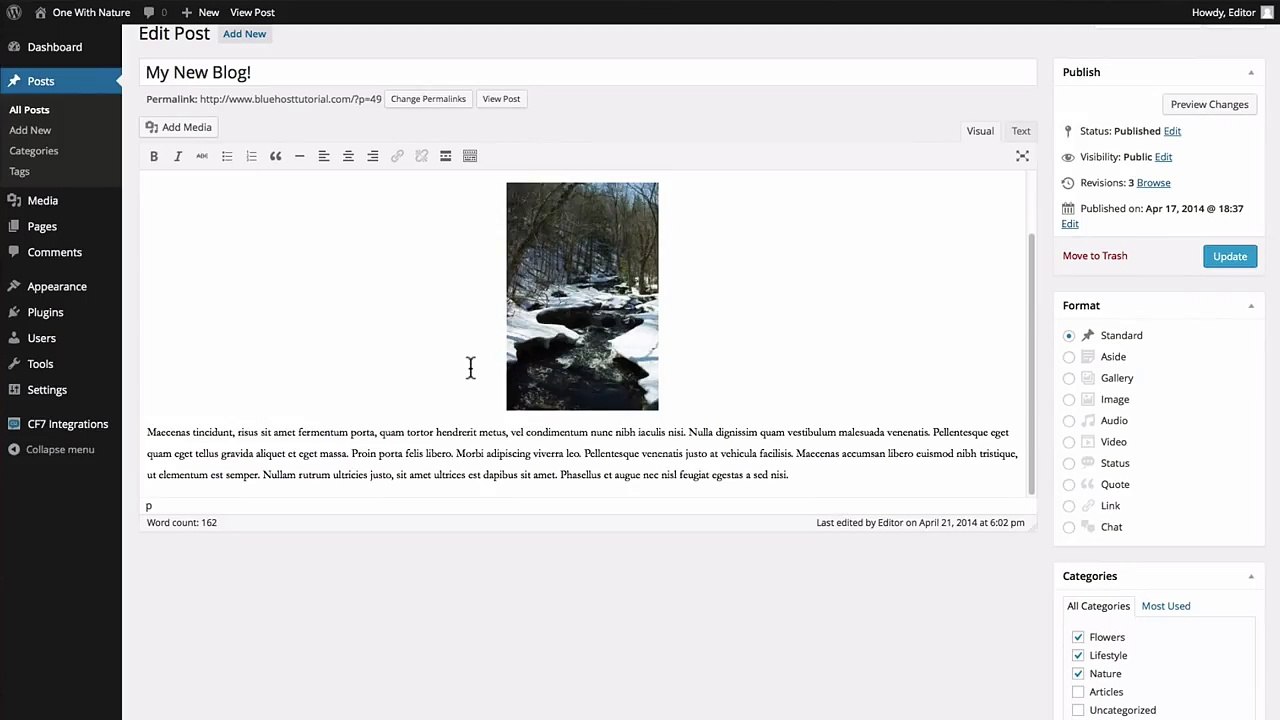 How to Create a Link in WordPress