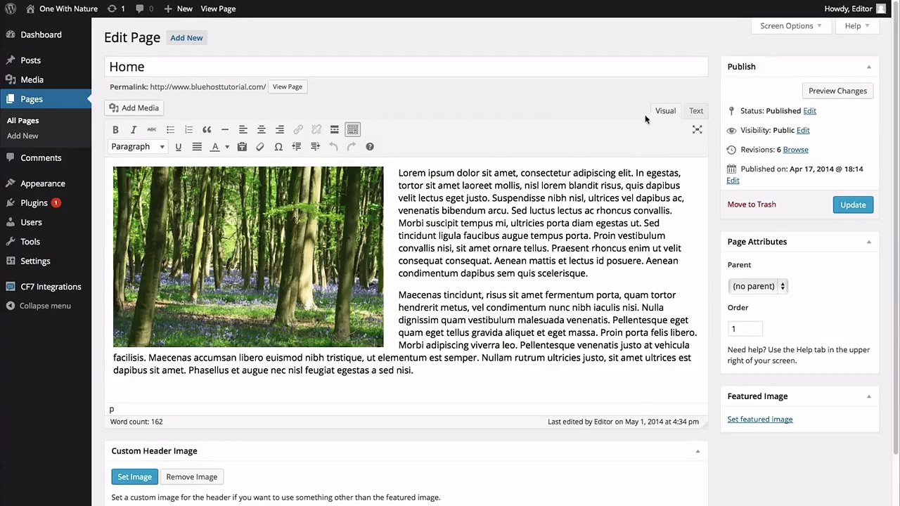 How to Embed Video in WordPress