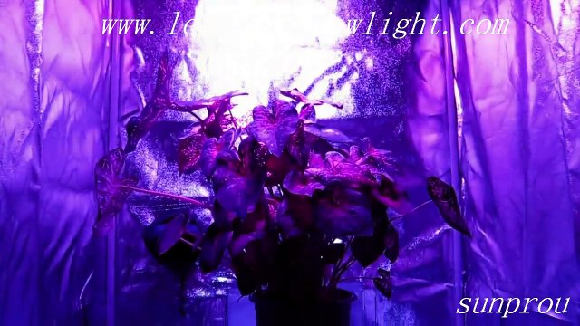 led grow lighting lamp with good price