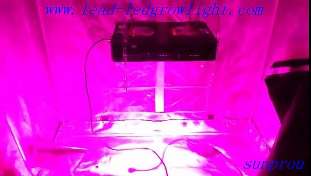 led grow lighting lamp with wholesale price