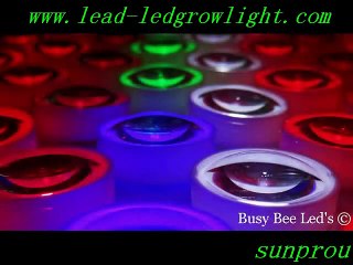 what are the best led grow lights