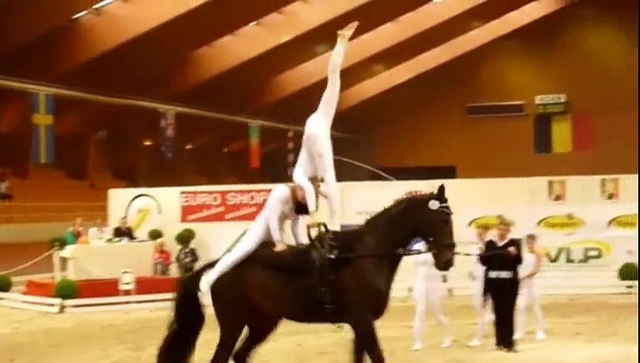 Team Equus 2014