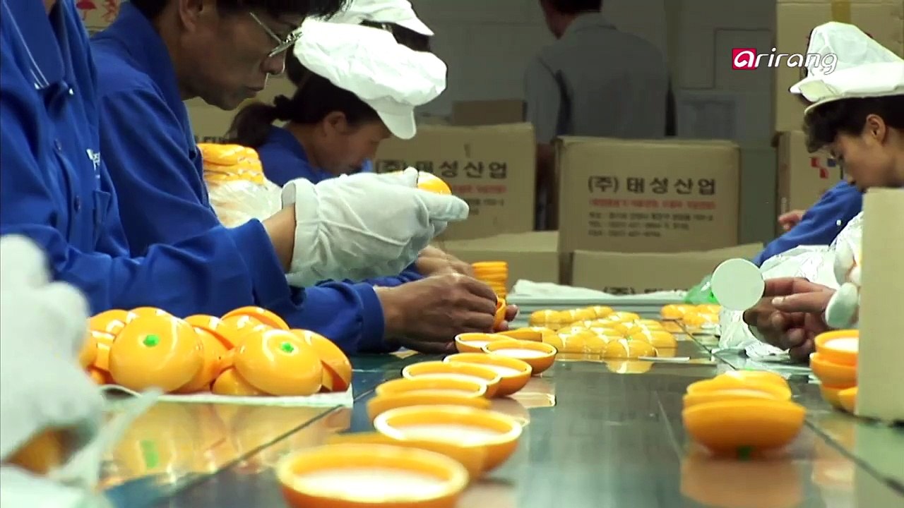 Korea on the Move Ep10C5 The future Prospects of a Unified Korea