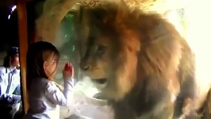 Aslanı kızdıran küçük kız