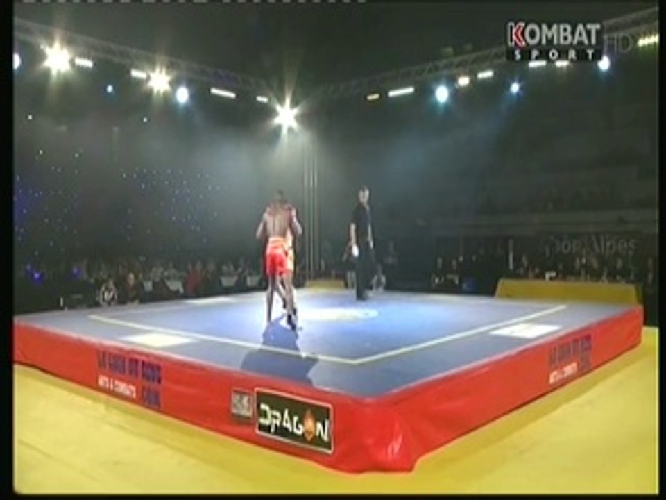 Alexy WALLACE vs Arman GRIGORIAN (SANDA Pro Fight Championship 29.11.2014 LYON)