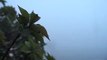 Dunya news- Dense fog envelopes different areas, cold wave tightens grip