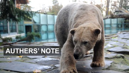 Charts for Christmas: bear case for US equities