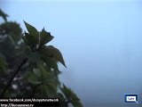 Dunya News - Dense fog envelopes different areas, cold wave tightens grip