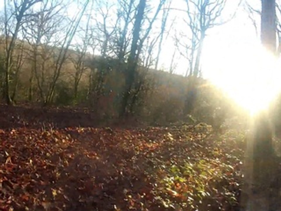 sortie 28.12.14