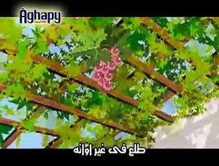 كان في عنقود عنب أغابي