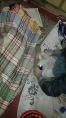 Keemina Pan ki b Intha hoti ha