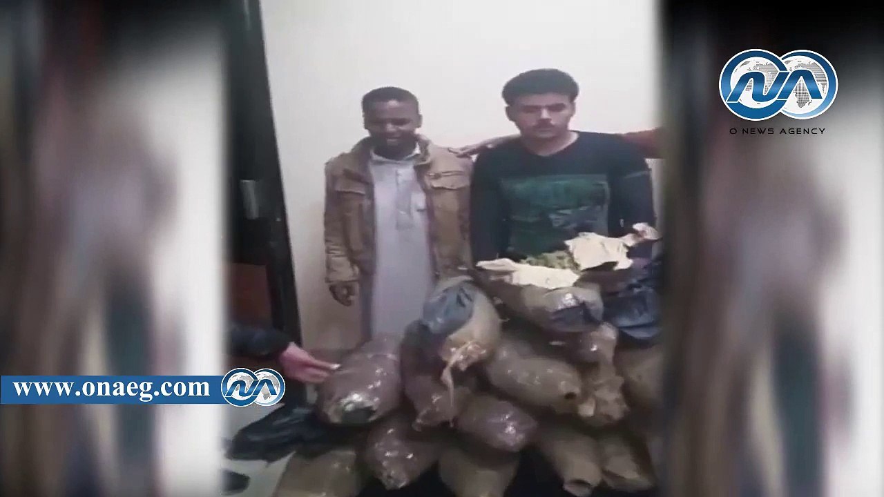 بالفيديو.. ضبط مسجلان خطر وبحوزتهما 50 كيلو بانجو بالإسماعلية
