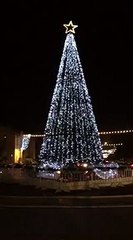 עץ אשוח לכבוד חג החגים בחיפה