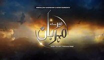 Mere Meherban OST Drama on HumTV - Full Song