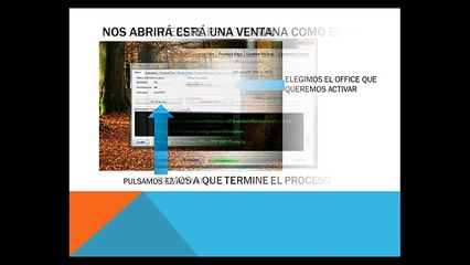 (SIN PUBLI) Activar CUALQUIER Office 2003-2007-2010 PARA SIEMPRE (CON ENLACE)