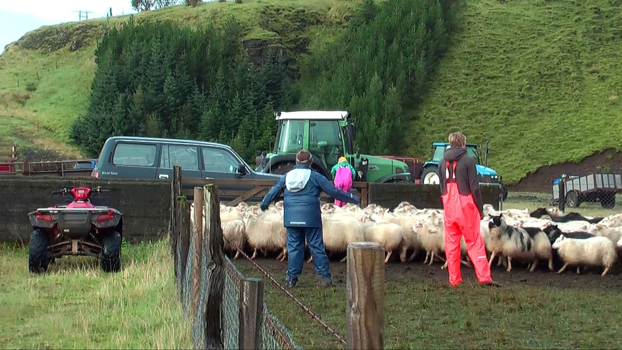 IJsland 2010