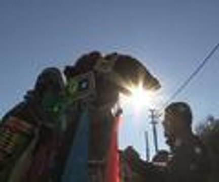 Güreş yasaklanırsa 2 bin deve sucuk olur