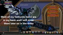 Buy Sell Accounts - selling aqworlds account - level 45 - loads of rares (NOT SOLD)