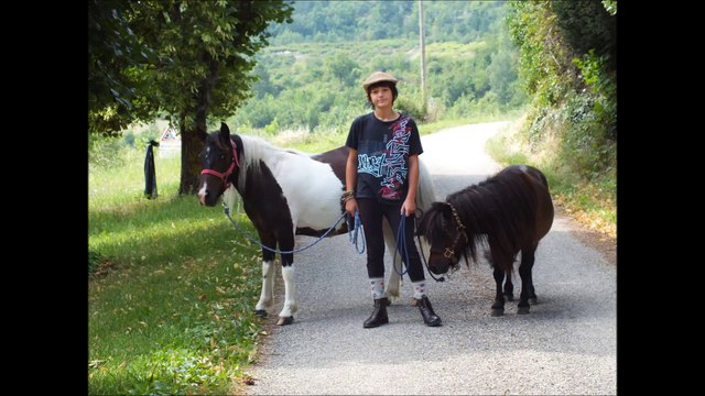 Centre équestre La Centaurée