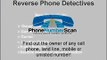 Area Code Lookup by Reverse Phone Detective