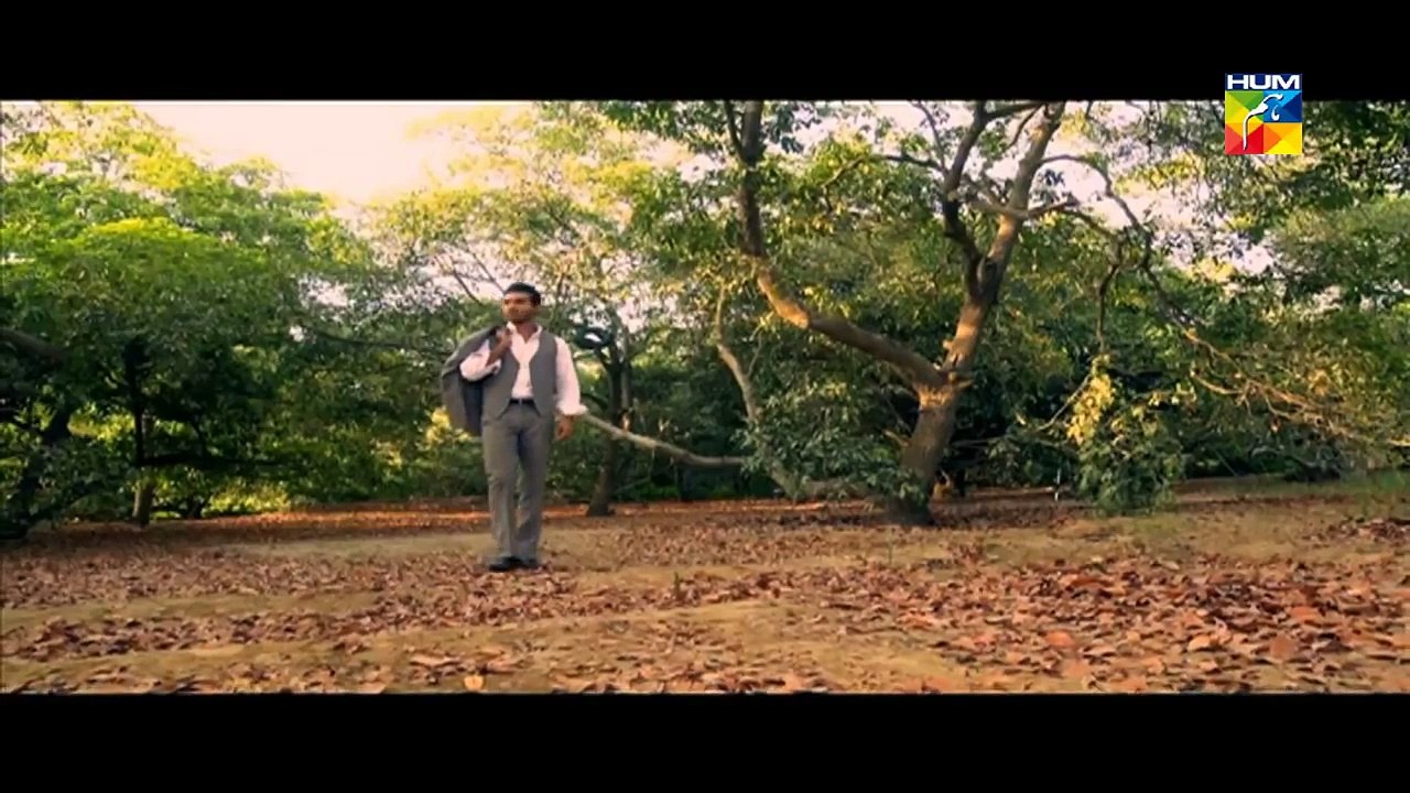 Bhool OST HUMTV Drama