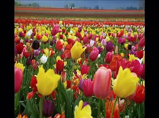 مين يحلي الغربة غيرك