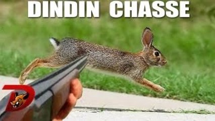 Chasse petit gibier : ouverture 2013