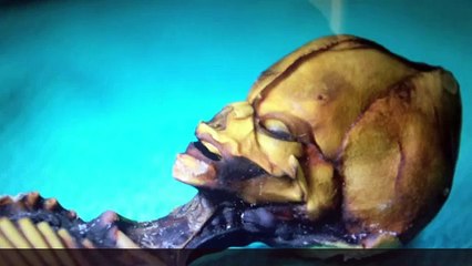 Инопланетяне, система власти, люди. Часть 1