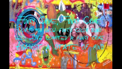Red Hot Chili Peppers - Funky Crime with lyrics