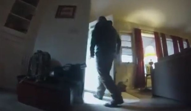 Une caméra filme la réaction d’un chien suite au départ de son maitre