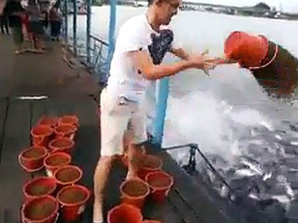 Fish actions