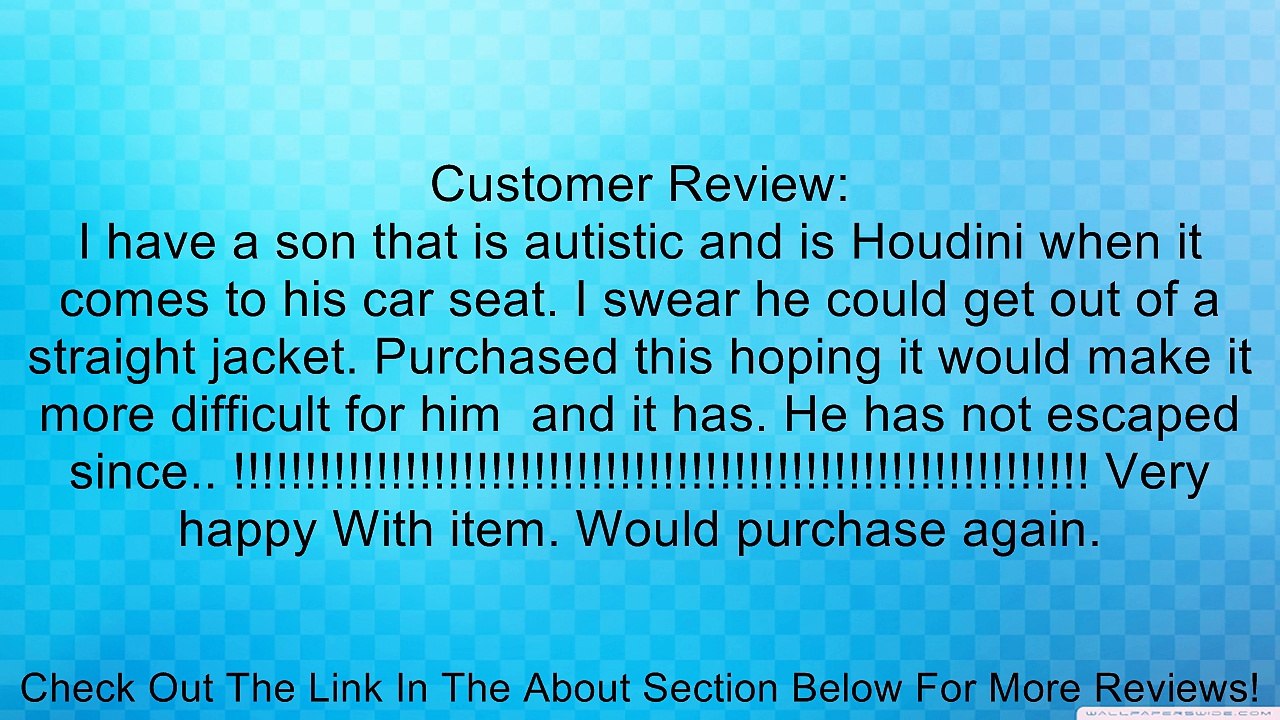 Diono Lock Tite Harness Chest Clip, Grey Review video Dailymotion