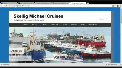 Digital Marketing Consultant with Colm McGill