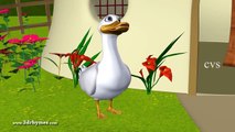 Five Little Ducks went out one day - 3D Animation English Nursery Rhyme song.mp4