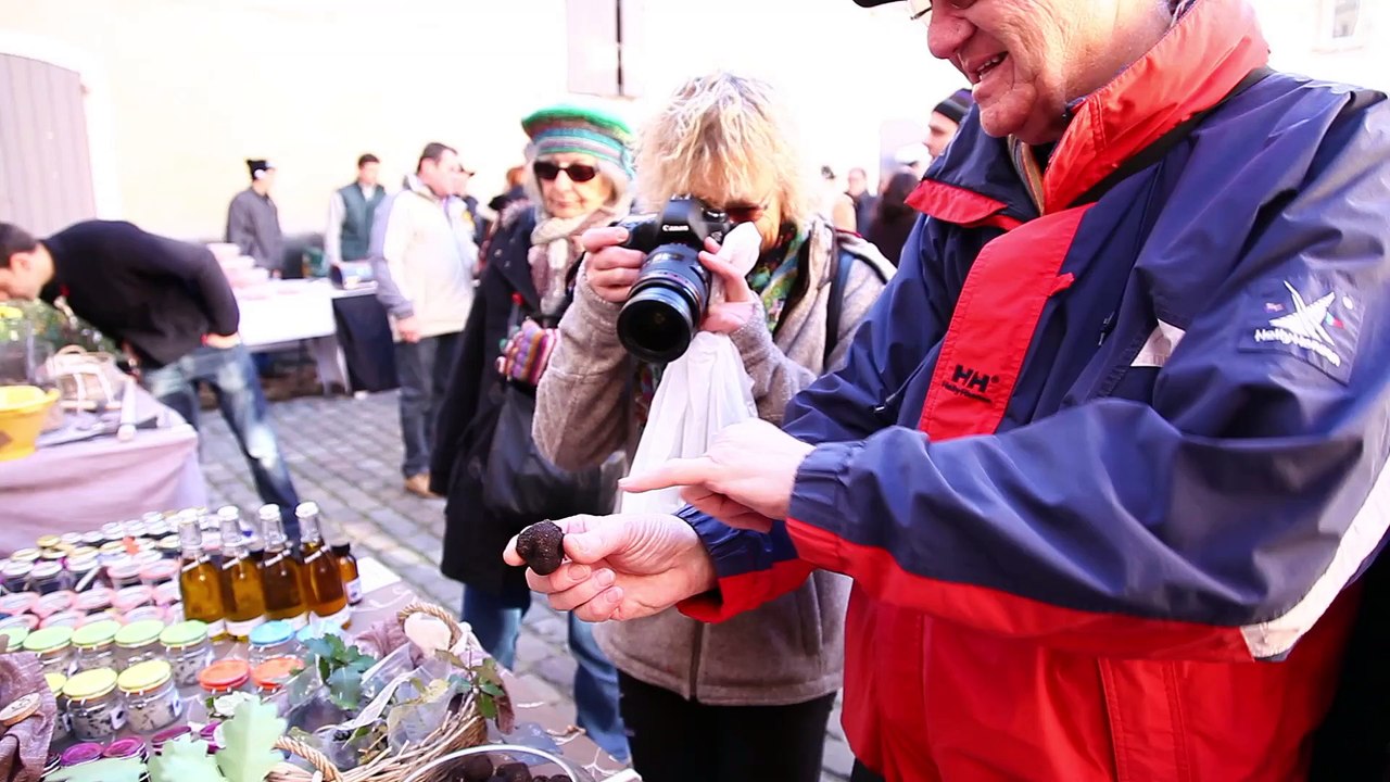 Provence de la Truffe : bien choisir ses truffes