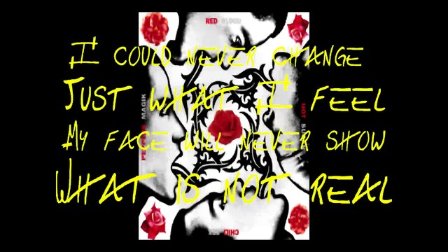 Red Hot Chili Peppers - I Could Have Lied with lyrics